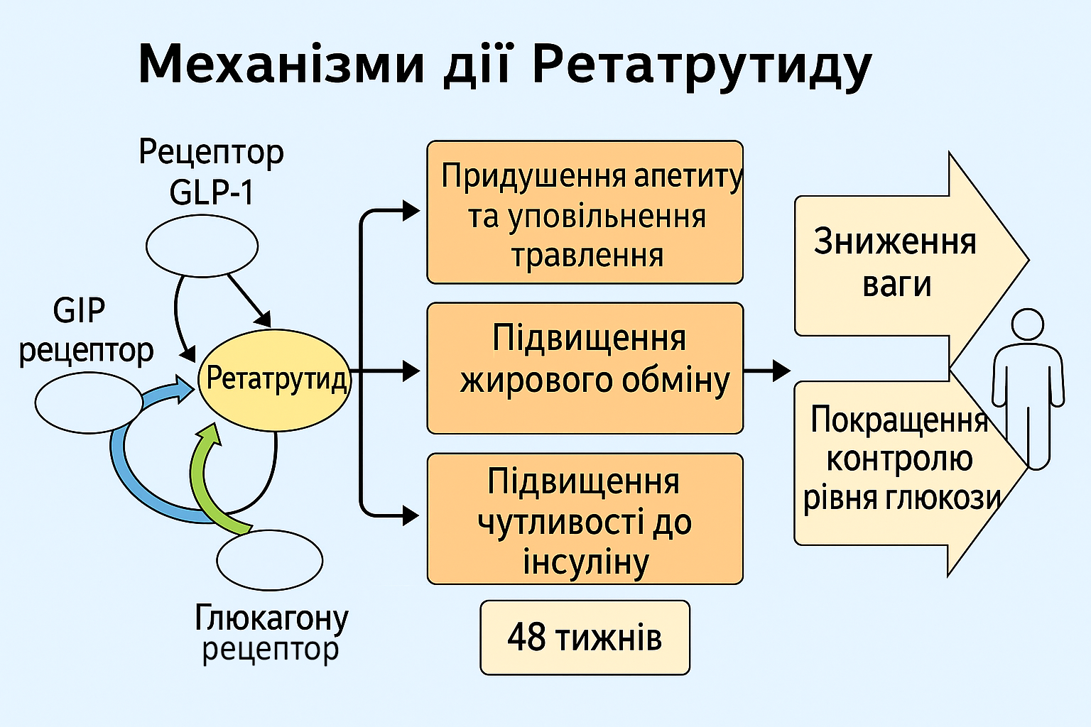 Ретатрутид — новий препарат для боротьби з ожирінням: що показало дослідження NEJM 2 Ретатрутид — інноваційний препарат для лікування ожиріння, молекулярна структура і діаграма зниження ваги